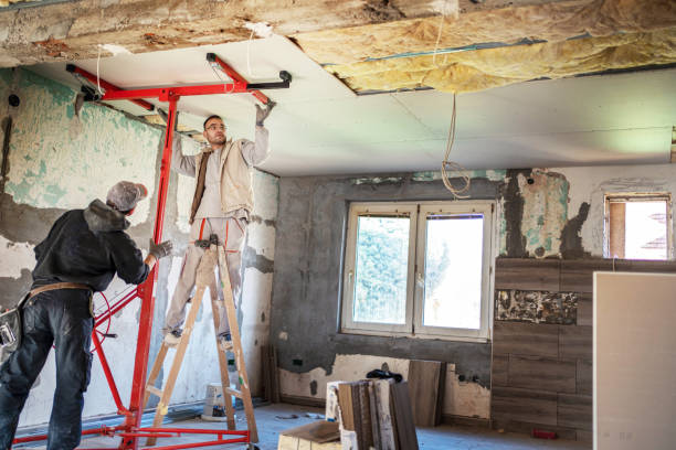 Best Eco-Friendly Insulation in Hamilton, TX