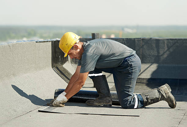 Best Specialized Insulation Services in Hamilton, TX